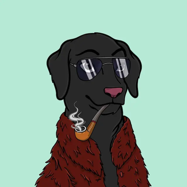 IPDoggie Team Alex